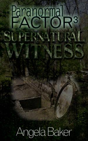 Cover of the book Supernatural Witness 3 by Lea Schiavi