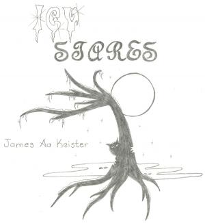 Book cover of Icy Stares