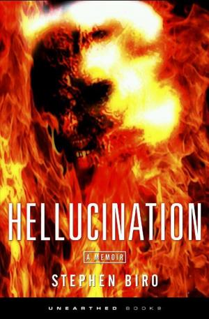 Book cover of Hellucination Limited Wrath Edition