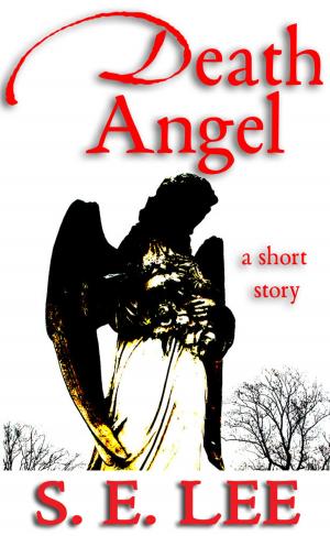 Cover of Death Angel: a short story of literary fiction