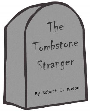 Book cover of The Tombstone Stranger