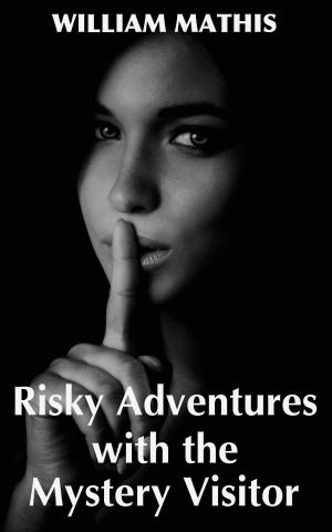 bigCover of the book Risky Adventures with the Mystery Visitor by 