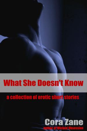 bigCover of the book What She Doesn't Know: A Collection of Erotic Short Stories by 