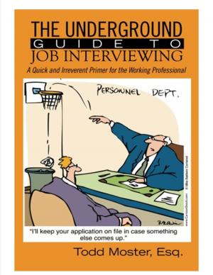 bigCover of the book The Underground Guide to Job Interviewing: A Quick and Irreverent Primer for the Working Professional by 