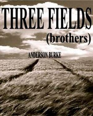 Cover of the book THREE FIELDS (brothers) by Megan Woolsey, Alison Lee