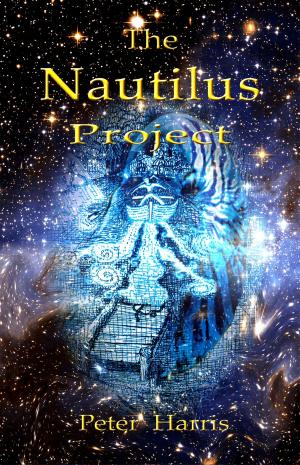 Cover of the book The Nautilus Project: Adventures of the Story Gatherer by Robina Adamson