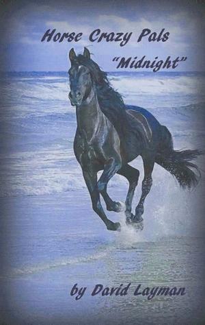 Book cover of Crazy Horse Pals: Midnight