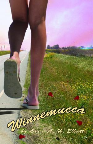 bigCover of the book Winnemucca by 