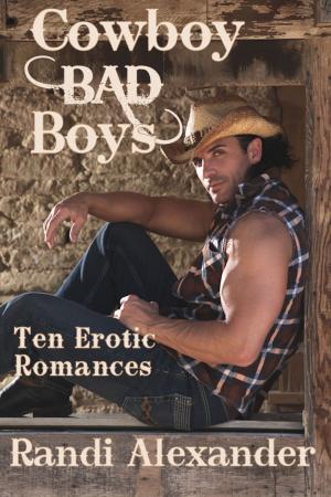 Cover of the book Cowboy Bad Boys by Randi Alexander, Leo J. Canyon