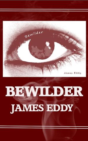 Book cover of Bewilder