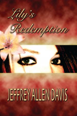 Book cover of Lily's Redemption
