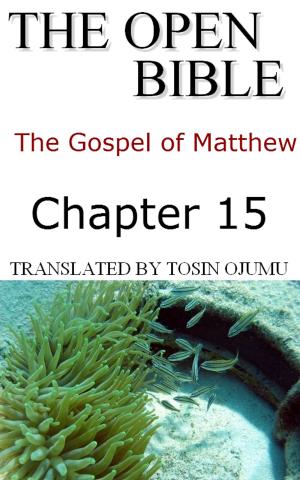 Cover of the book The Open Bible -The Gospel of Matthew: Chapter 15 by Open Bible Matthew