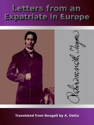 Book cover of Letters from an Expatriate in Europe