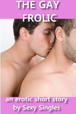 bigCover of the book The Gay Frolic by 