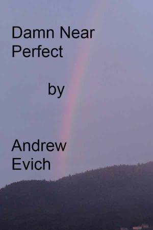 Cover of the book Damn Near Perfect by Matt Johnson