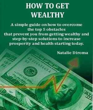 bigCover of the book How To Get Wealthy by 