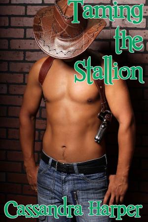 Book cover of Taming the Stallion