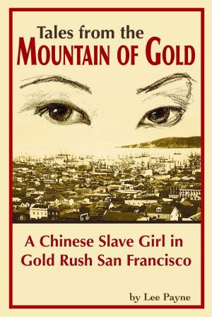 Cover of the book Tales from the Mountain of Gold by Brian Kindall