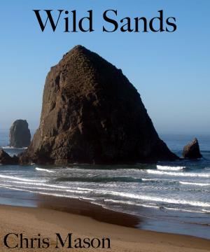 Cover of Wild Sands