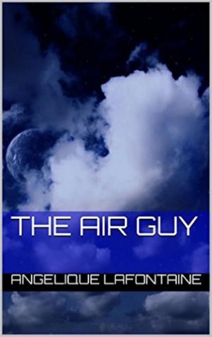 Cover of the book The Air Guy by Sue Ann Jaffarian