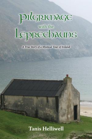 Cover of the book Pilgrimage with the Leprechauns: A true story of a mystical tour of Ireland by Robert Moss