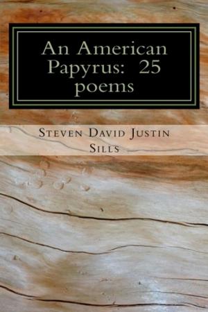 Book cover of An American Papyrus