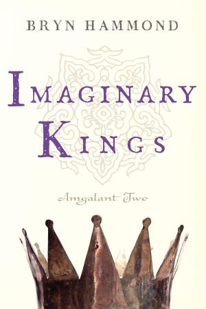 Cover of the book Imaginary Kings by Michael Edward Fairn