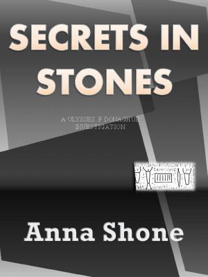 Cover of the book Secrets in Stones by Glenda Yarbrough
