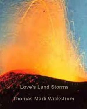 Book cover of Love's Land Storms