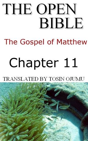 Cover of the book The Open Bible: The Gospel of Matthew: Chapter 11 by Open Bible Matthew