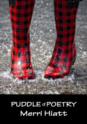 Cover of the book Puddle of Poetry by James Gerard Small