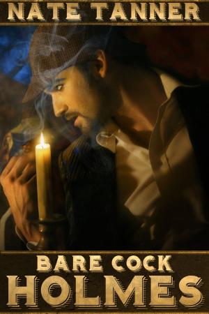 bigCover of the book Bare Cock Holmes by 