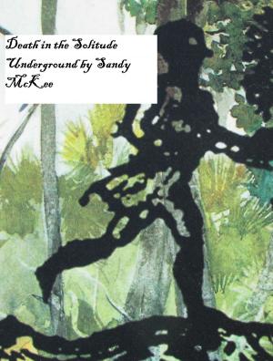 Cover of the book Death in the Solitude Underground by Steve Turnbull
