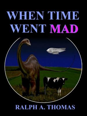 Book cover of When Time Went Mad