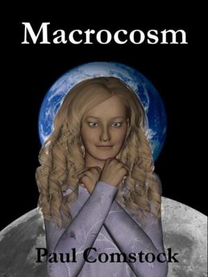 Cover of the book Macrocosm by Rachel Gray