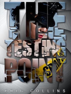 Cover of the book The Testing Point by Kerry K. Taylor