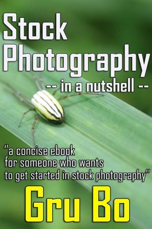 Cover of Stock Photography in a nutshell: A concise guide to get started in Stock Photography