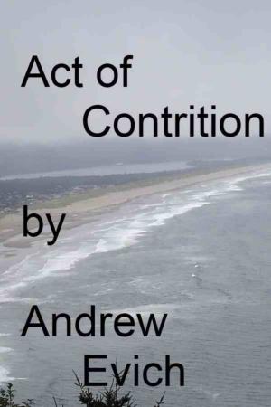 Cover of the book Act of Contrition by Alex Dean