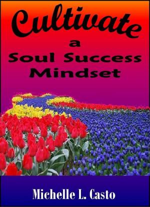 Cover of Cultivate a Soul Success Mindset
