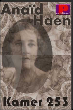 Cover of the book Kamer 253 by Anaïd Haen, Django Mathijsen