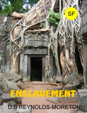 Cover of the book Enslavement by Rob Dircks