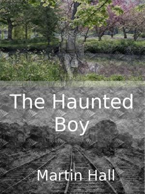 Book cover of The Haunted Boy