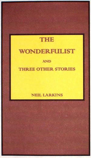Cover of the book The Wonderfulist and Three Other Short Stories by Rhonda Bowen