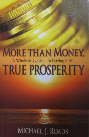 Book cover of More Than Money, True Prosperity: A Wholistic Guide to Having It All