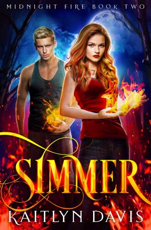 Cover of the book Simmer (Midnight Fire Series Book Two) by T. Lynne Tolles