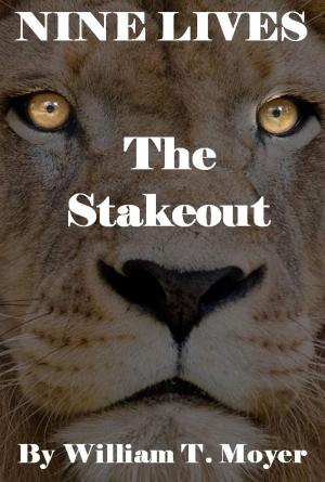 Book cover of The Stakeout