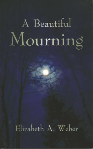 Cover of the book A Beautiful Mourning by Aves E