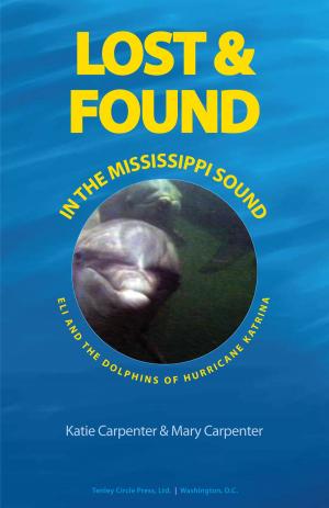 Book cover of Lost & Found in the Mississippi Sound