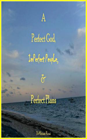 Book cover of A Perfect God, Imperfect People, and Perfect Plans