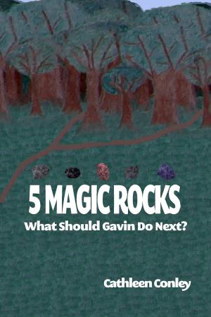 Book cover of 5 Magic Rocks: What Should Gavin Do Next?